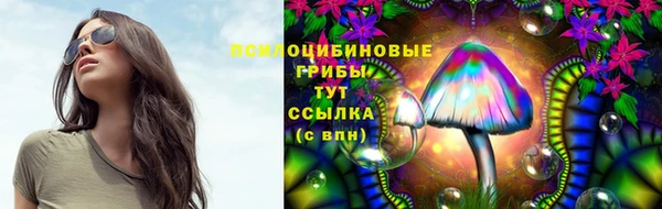 МДПВ Абдулино