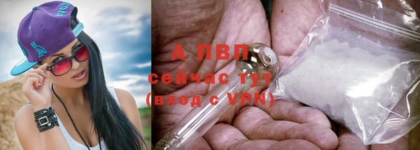 мет Щигры