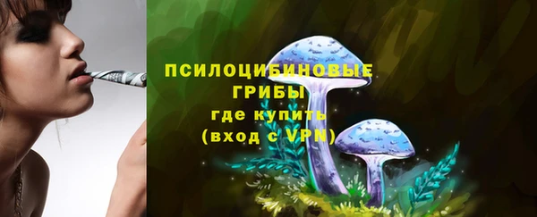 винт Щёлкино