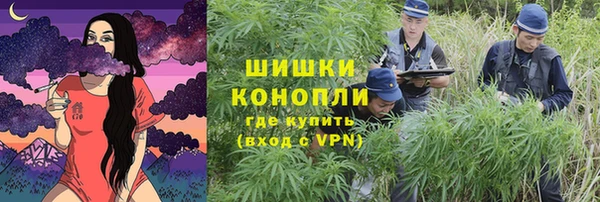 винт Щёлкино
