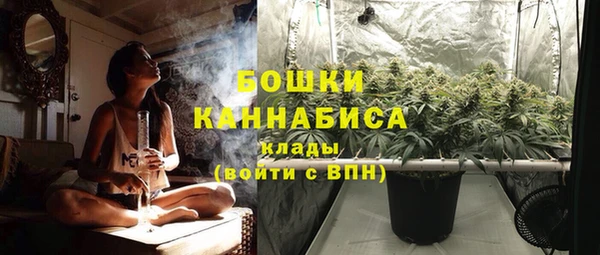 мет Щигры
