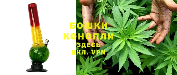 мет Щигры